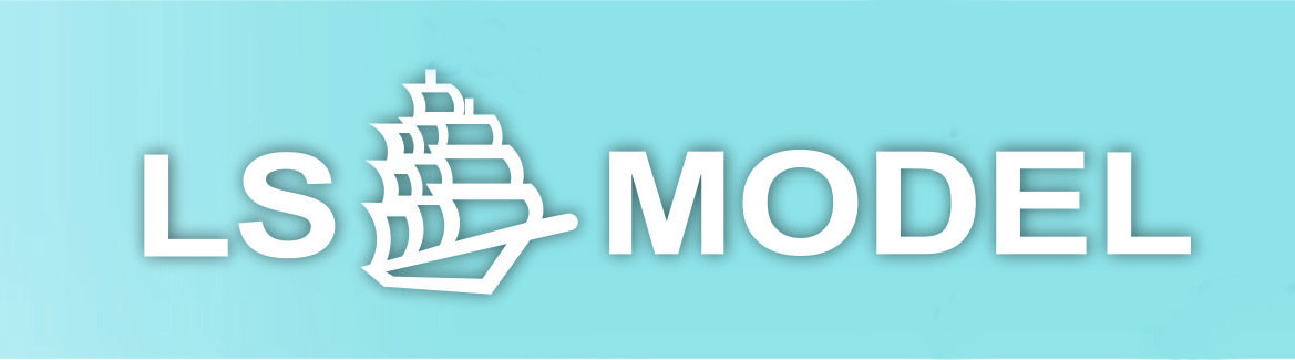 LS-Model